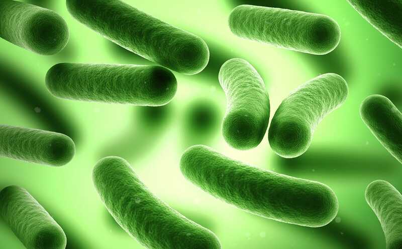 XXXVIII Международная зимняя молодежная научная школа «Перспективные направления физико-химической биологии и биотехнологии»