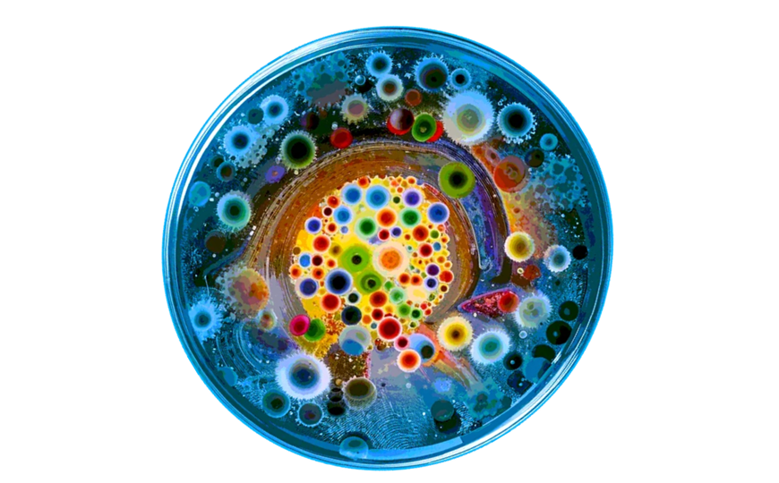 IV Российский конгресс с международным участием по медицинской микробиологии и инфектологии