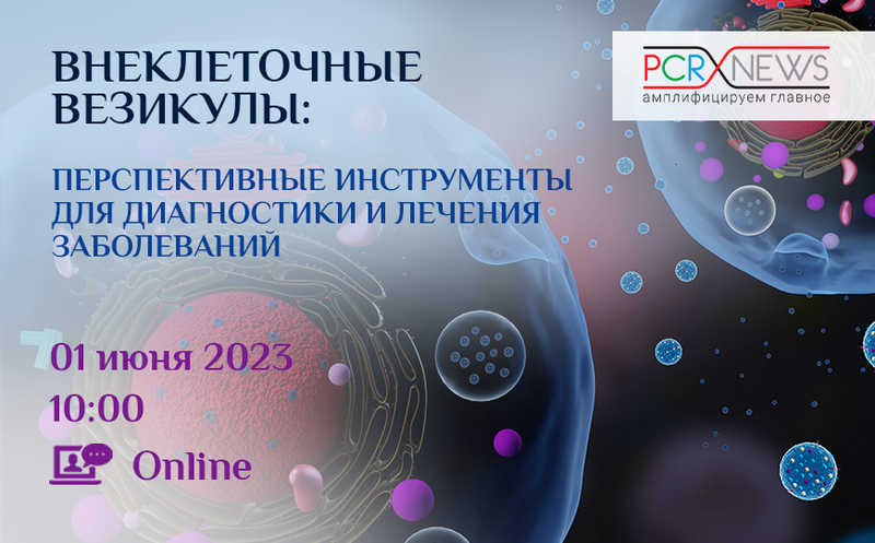 Внеклеточные везикулы: перспективные инструменты для диагностики и лечения заболеваний