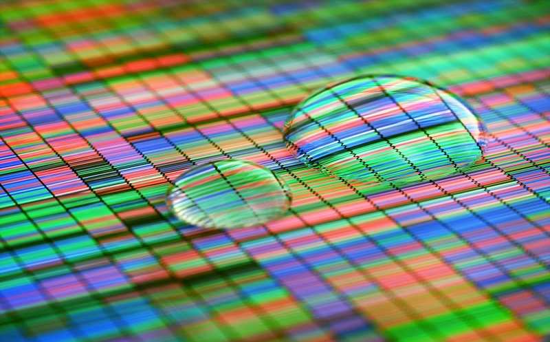 Вебинар о подготовке к NGS-исследованию