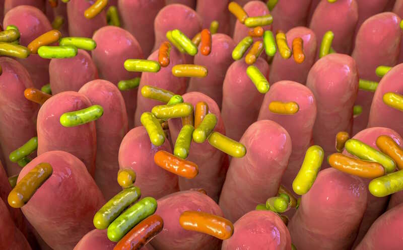 Бактериальный сенсор «выключает» флуоресценцию в ответ на стресс