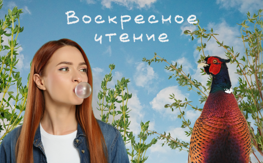 Стволовые клетки птиц и другие новости недели