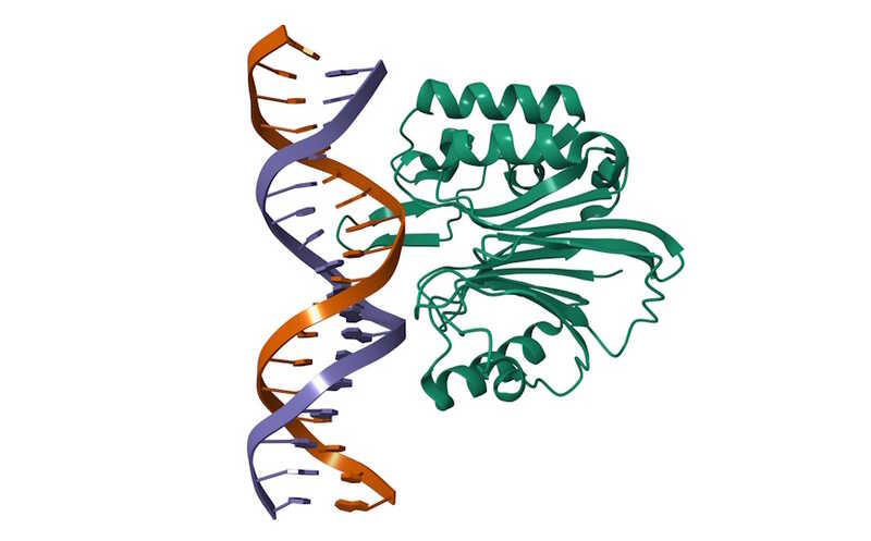 Активация ретротранспозона LINE-1 повышает агрессивность аденокарциномы легкого