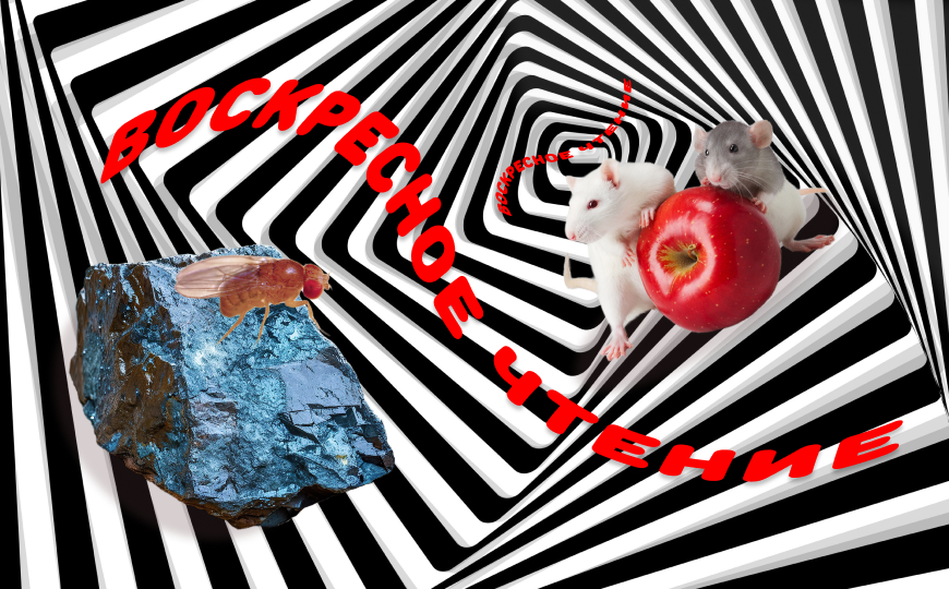 Соединения ртути в тунце и другие новости недели