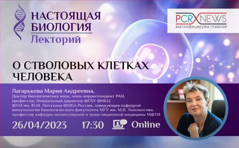 Лекция о стволовых клетках