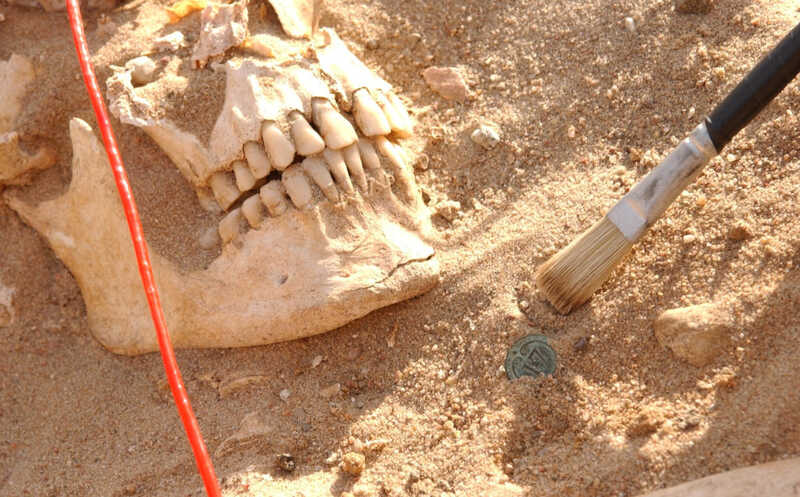 Отступающую наполеоновскую армию добил не только сыпной тиф