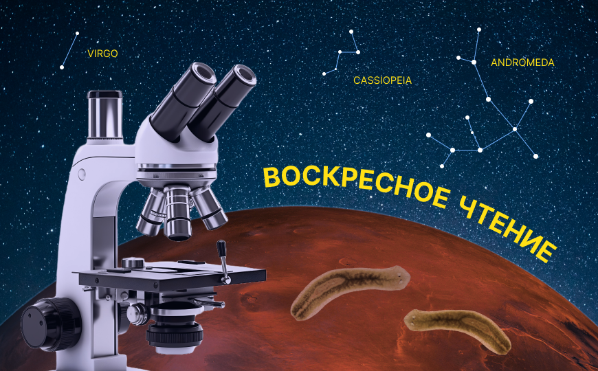 Выживание дрожжей в условиях Марса и другие новости недели