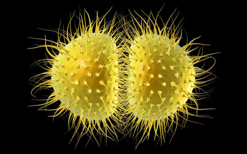 Золифлодацин прошел фазу 3 КИ и получил одобрение FDA для лечения гонореи