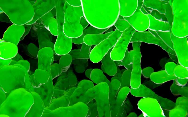 Коктейль из четырех ферментов убивает микобактерии