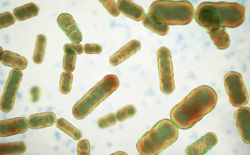 Обнаружен основной фермент производства водорода в здоровом кишечнике