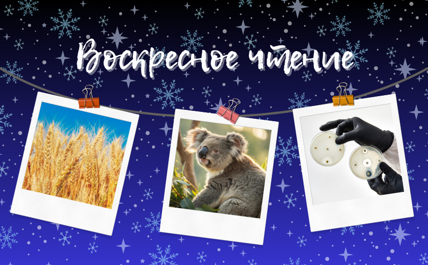 Ретровирусы коал и другие новости недели