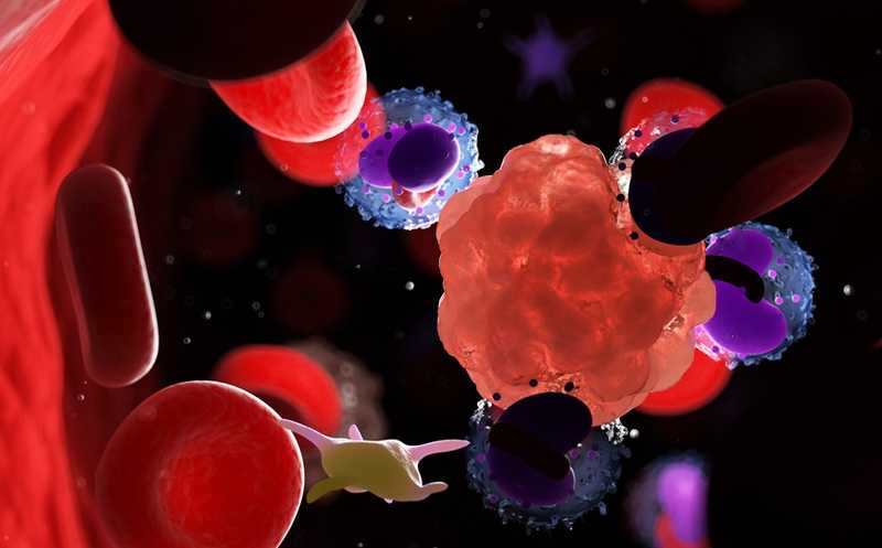 Заякоренные на микрочастицах цитокины привлекают иммунные клетки в «холодные» опухоли