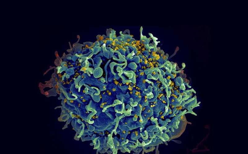 Новый препарат для терапии ВИЧ-инфекции появится в России