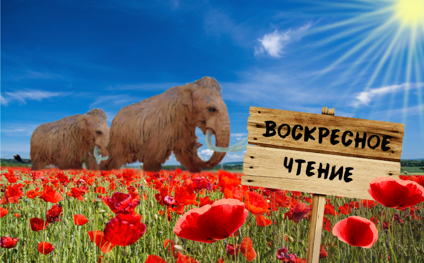 Микробиом мамонта и другие новости недели