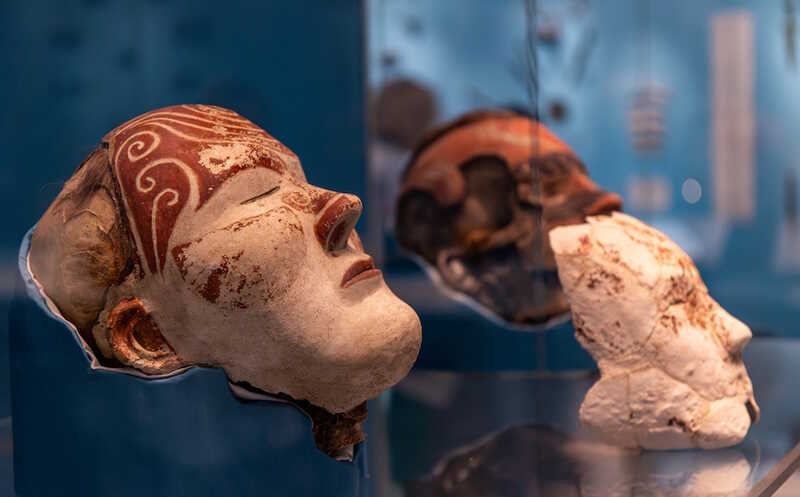 Палеогенетика и историческая генетика. Что нового? 