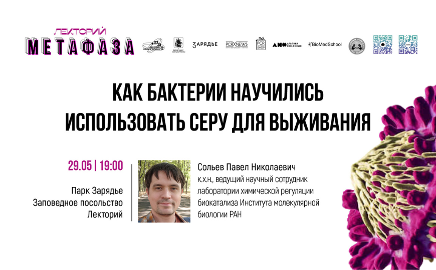 Лекция: «Как бактерии научились использовать серу для выживания»