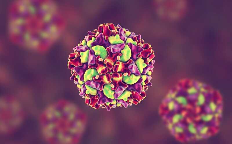 Нарушение симметрии капсида направляет выход вирусной РНК