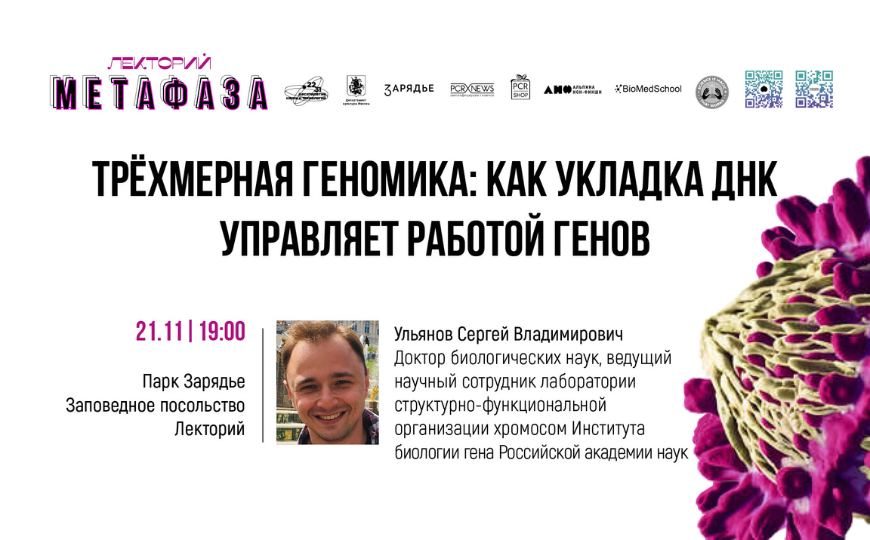 Лекция: «Трёхмерная геномика: как укладка ДНК управляет работой генов»