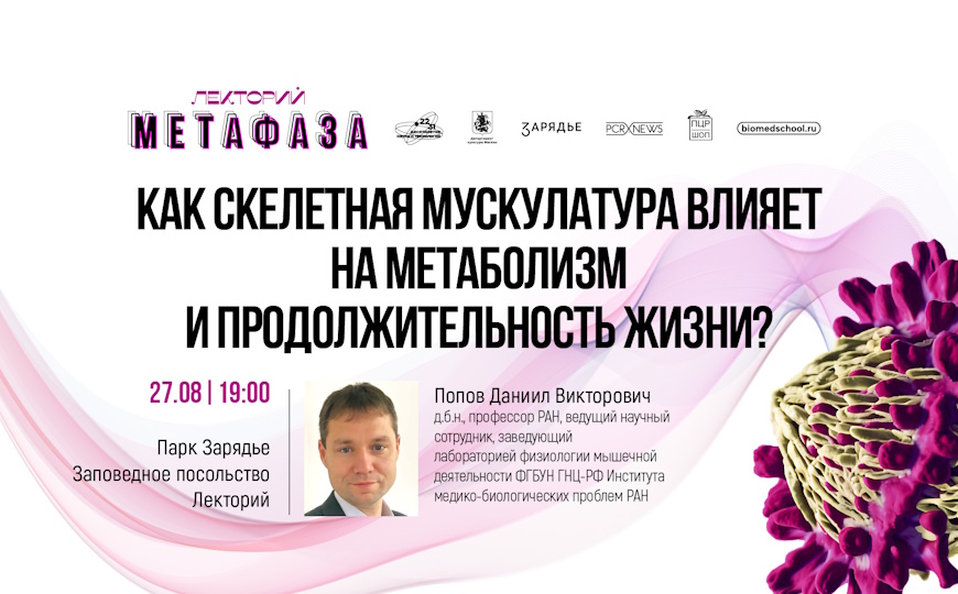 Лекция «Как скелетная мускулатура влияет на метаболизм и продолжительность жизни?»