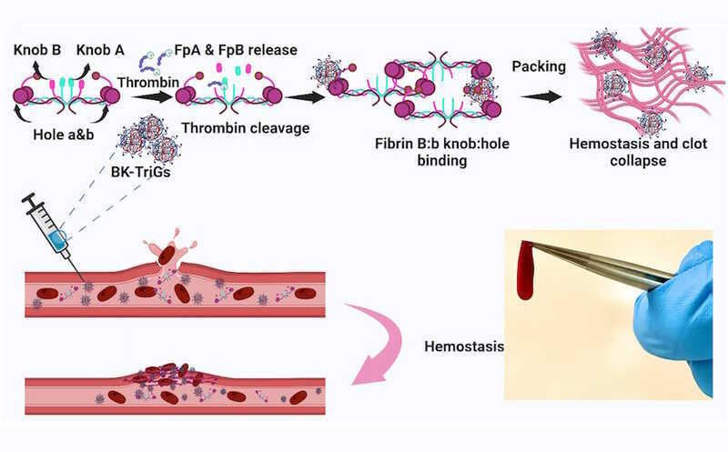 Микрогель улучшает свертываемость крови у младенцев