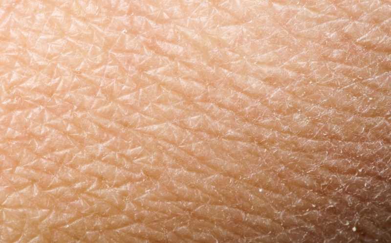 Болезнь Паркинсона можно диагностировать по биопсии кожи