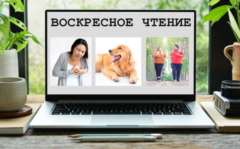 Транскраниальная магнитная стимуляция для лечения депрессии и другие новости недели