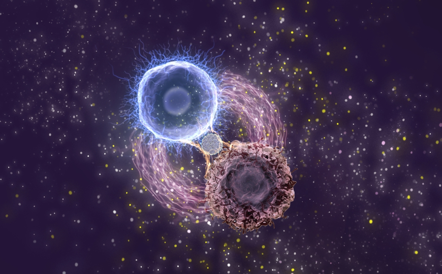 Частицы ферритина на поверхности CAR T-клеток улучшают распознавание антигенов