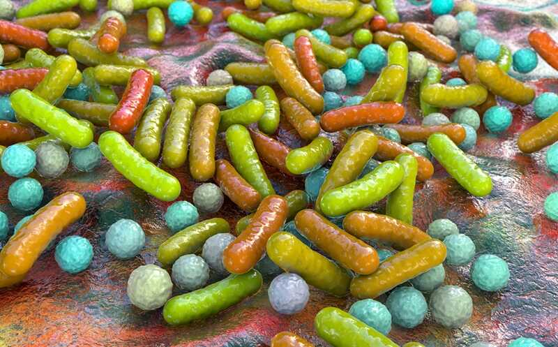 Доступ к уникальным ресурсам определяет состав вагинальной микробиоты