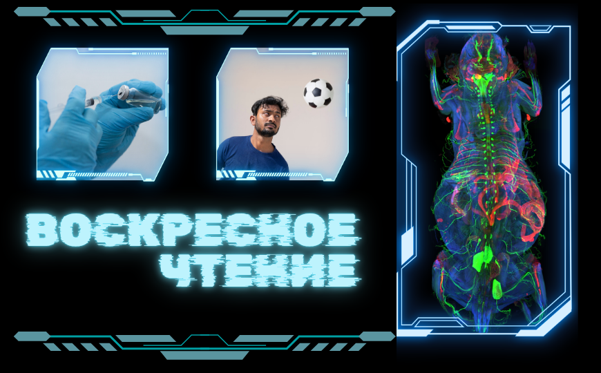 Нейропластичность сусликов в спячке и другие новости недели