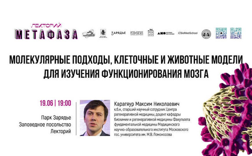 Лекция: «Молекулярные подходы, клеточные и животные модели для изучения функционирования мозга в норме и при патологии»