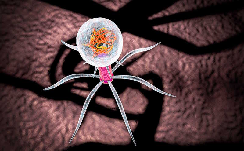 Как найти в геномах бактерий все системы защиты от фагов?