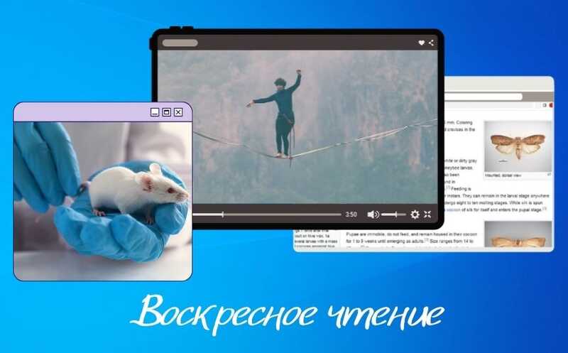 Омоложение нейронов и другие новости недели