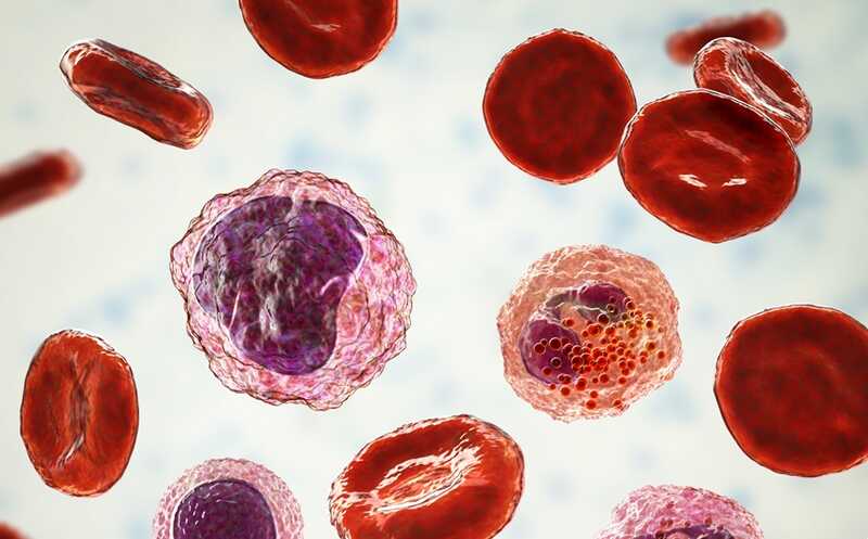 Потеря эпигенетической стабильности связана с развитием лейкозов