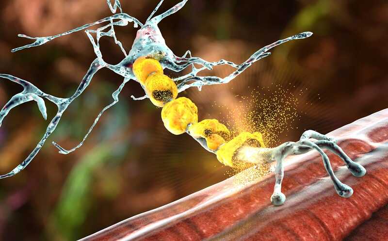 Производные ретиноевой кислоты помогают бороться с последствиями гипоксии