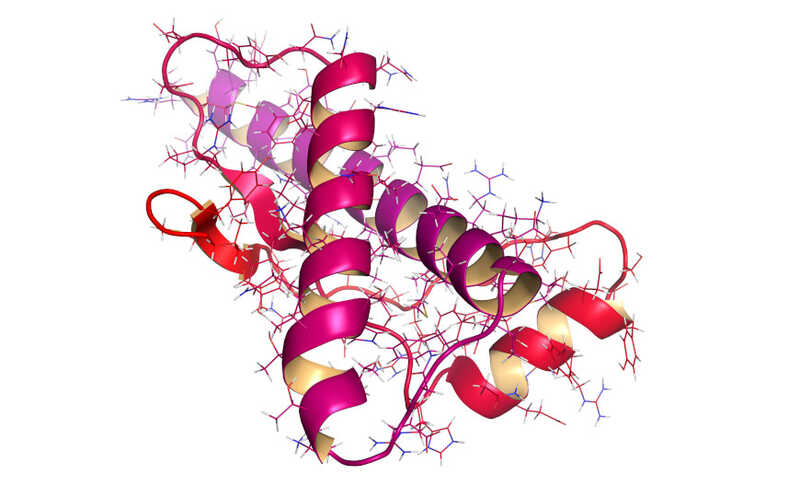 Насколько страшны прионы на самом деле?
