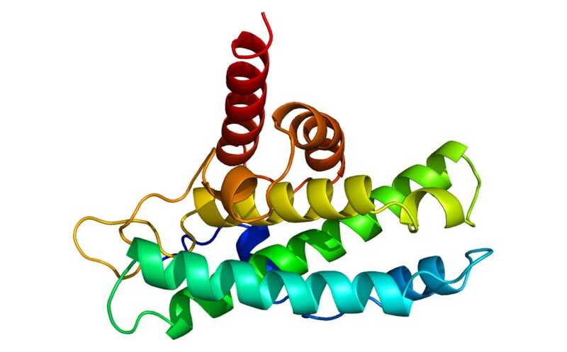 Герминальные мутации BRCA2 при гормон-позитивном РМЖ способствуют резистентности к ингибиторам CDK4/6