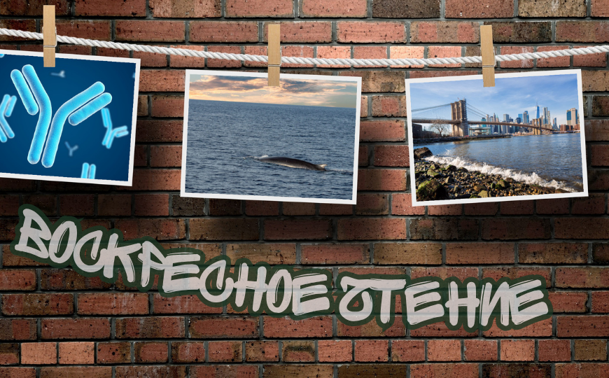 Генная терапия ВИЧ и другие новости недели
