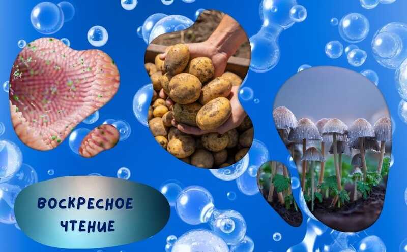 Борьба со стволовыми раковыми клетками и другие новости недели
