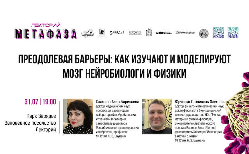 Лекция: «Преодолевая барьеры: как изучают и моделируют мозг нейробиологи и физики»