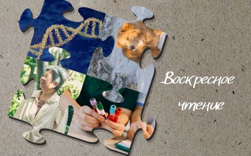 Семенные экзосомы и другие новости недели