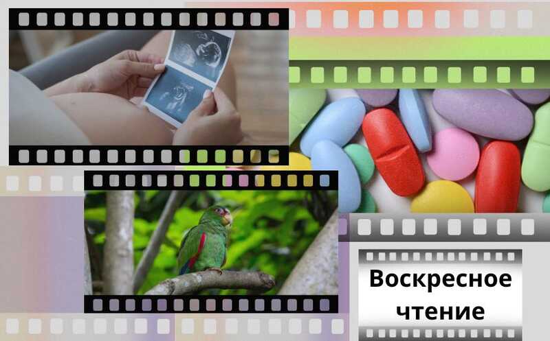 Влияние отцовского курения на потомство и другие новости недели