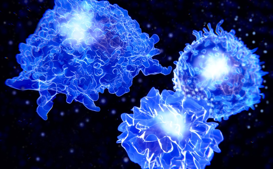 Гликированный CD43 защищает раковые клетки от врожденного и приобретенного иммунитета