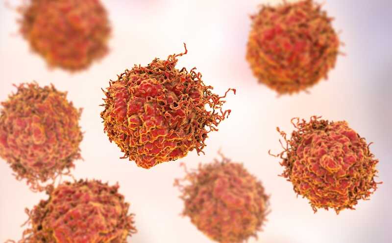 Как клетка преодолевает зависимость от глутамина