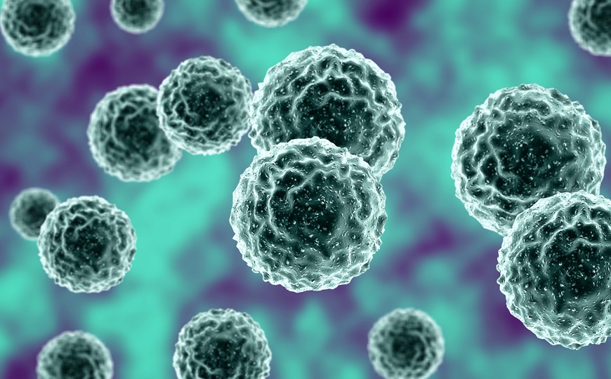 Генотип и пол организма-хозяина влияют на эволюцию вируса гриппа