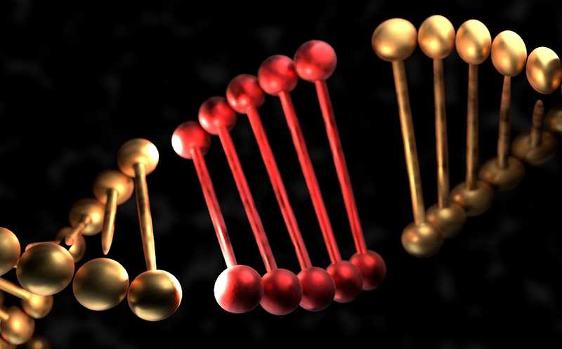 Пять способов фрагментации ДНК, их преимущества и недостатки