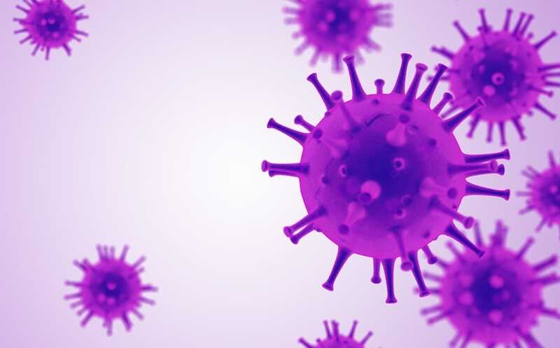 Клетки человека защищает от птичьего вируса гриппа А путь STING–NF-κB