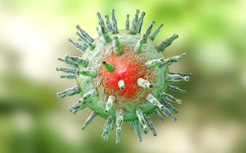 Моноклональное антитело защитило гуманизированных мышей от вируса Эпштейна — Барр