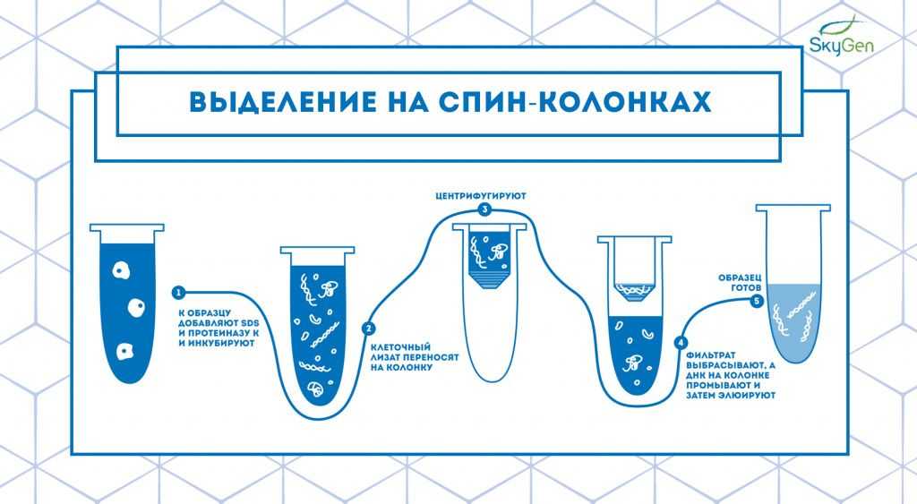Рис.2 Схема протокола выделения на спин-колонках..jpg