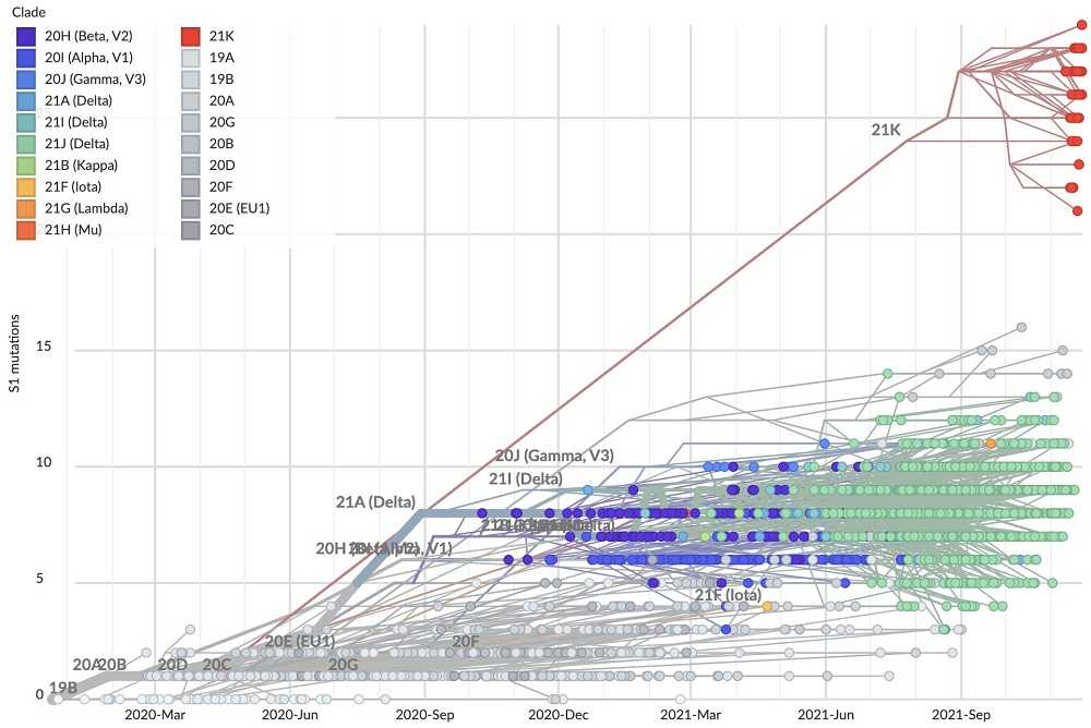 мутации в омикроне.jpg