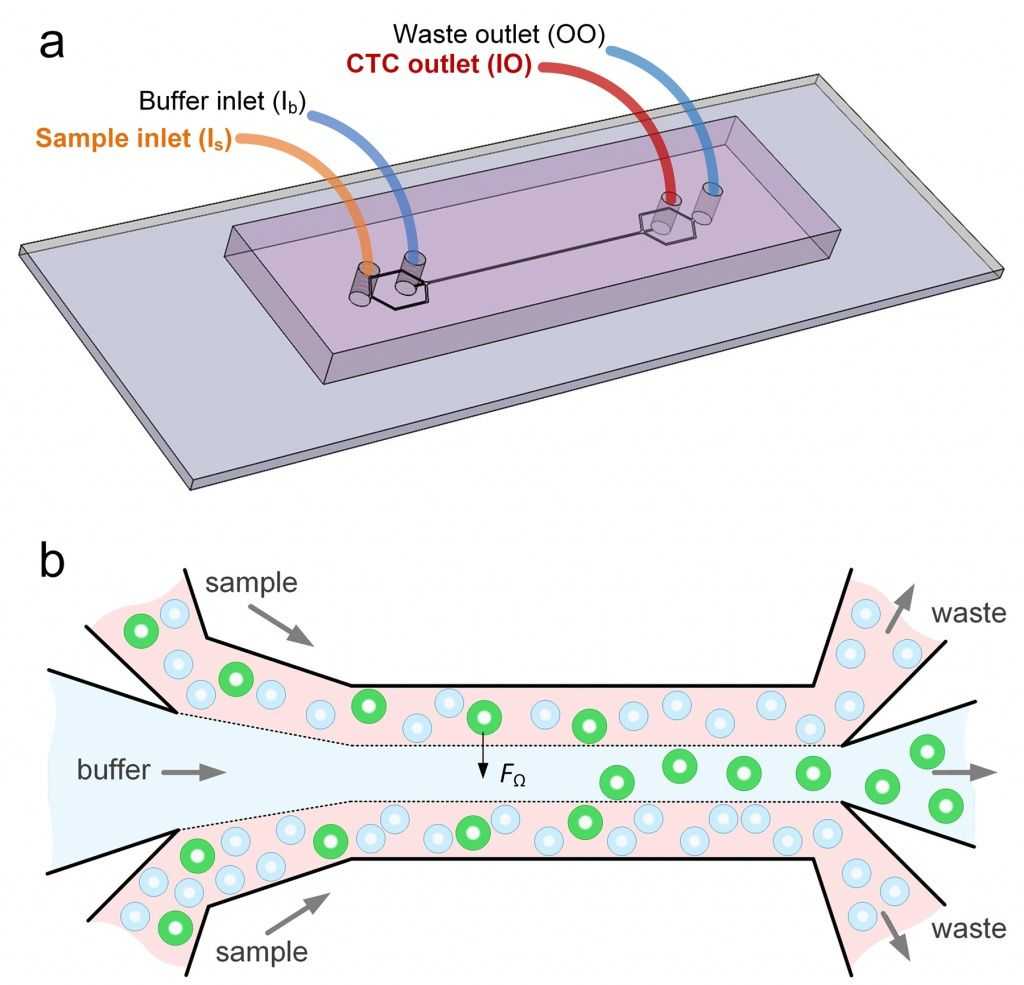 2019_02_27_Cancer-Cell-Separation-diagram.jpg